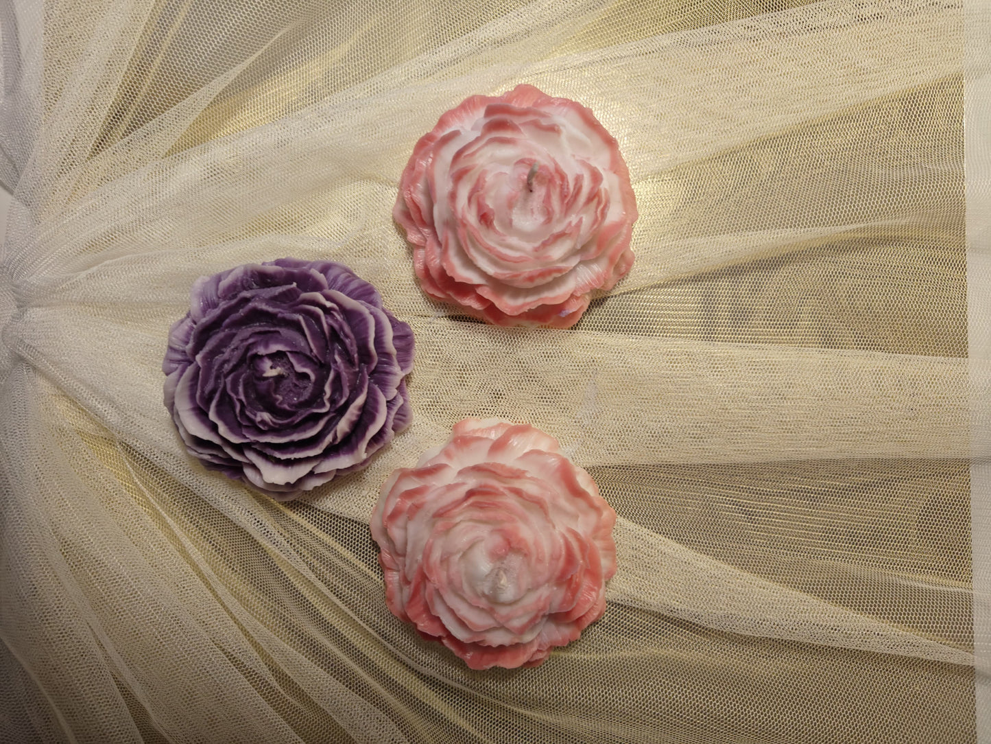Peony Rose Soy Wax Candle | Set of 3 | NAV-CT-017 - Navam