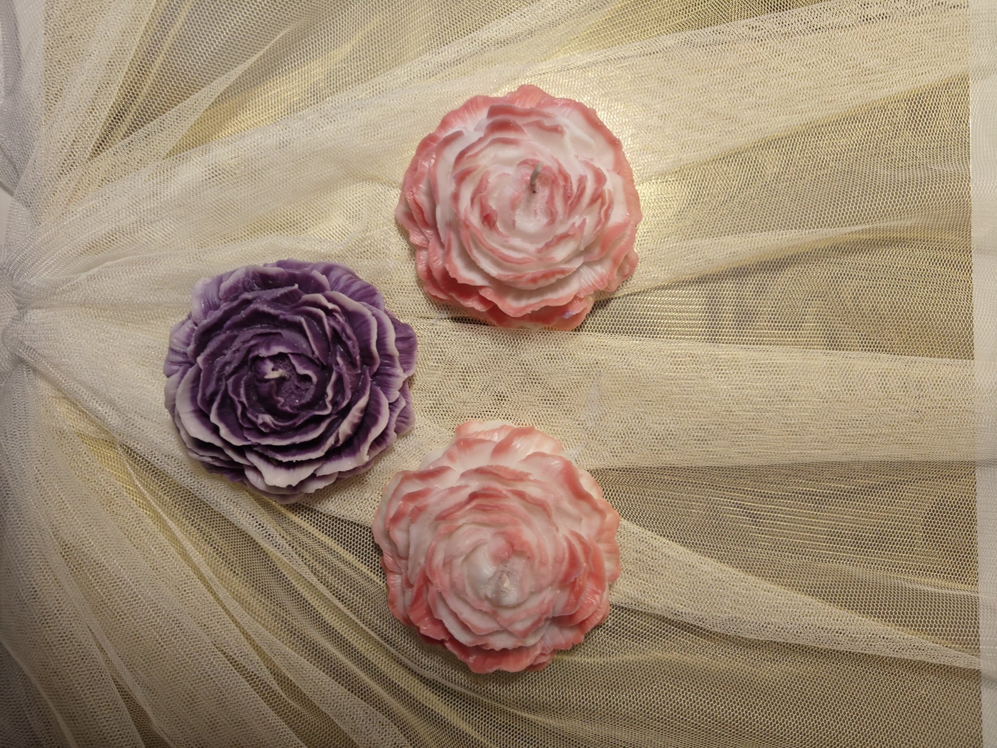 Peony Rose Soy Wax Candle | Set of 3 | NAV-CT-017 - Navam