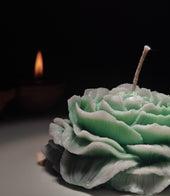 Peony Rose Soy Wax Candle | Set of 3 | NAV-CT-017 - Navam