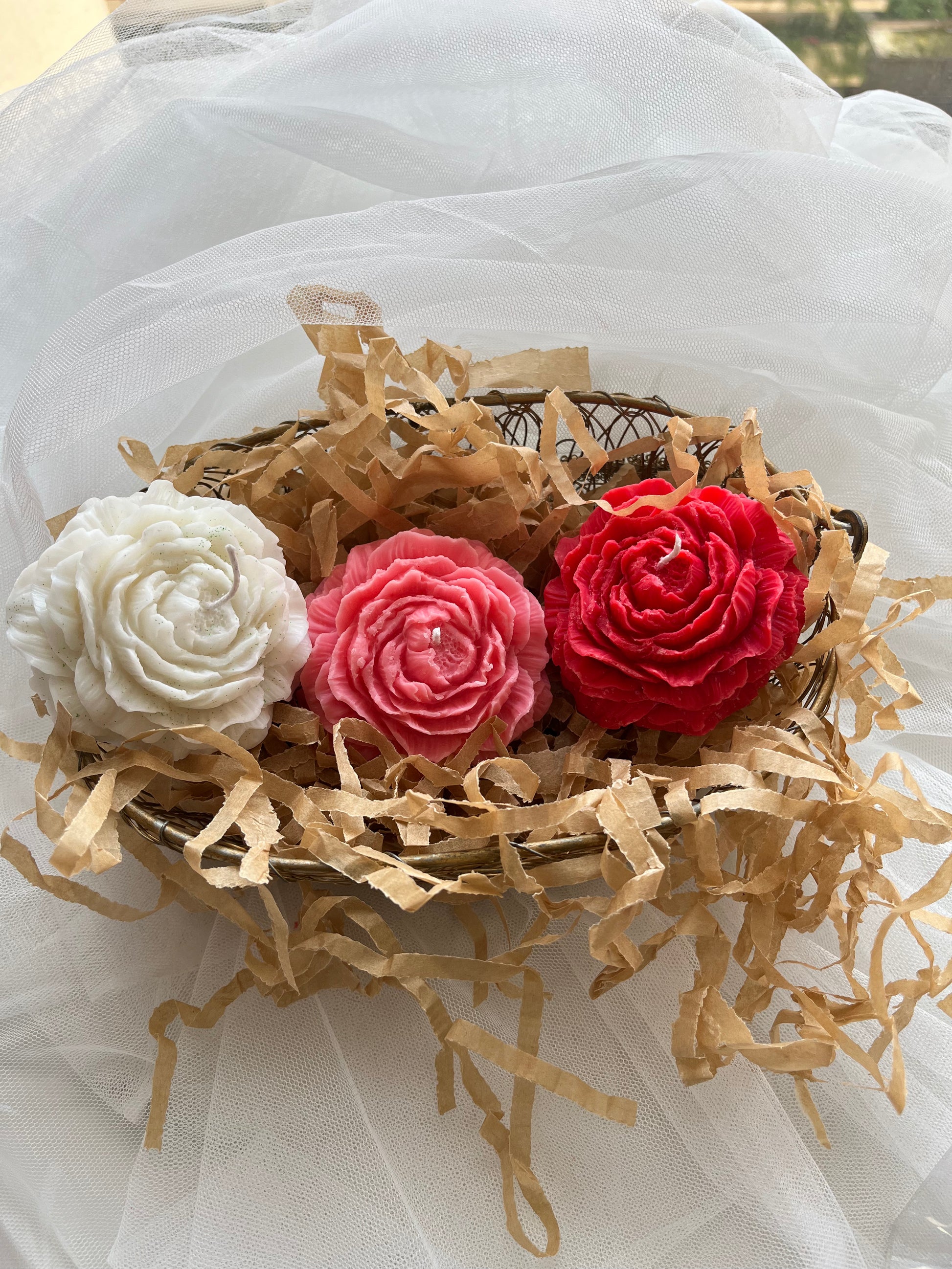 Peony Rose Soy Wax Candle | Set of 3 | NAV-CT-017 - Navam
