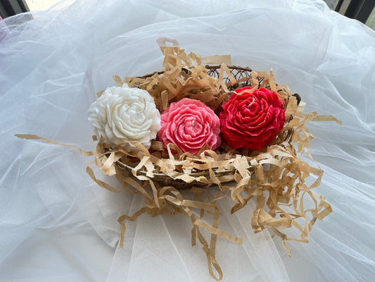 Peony Rose Soy Wax Candle | Set of 3 | NAV-CT-017 - Navam