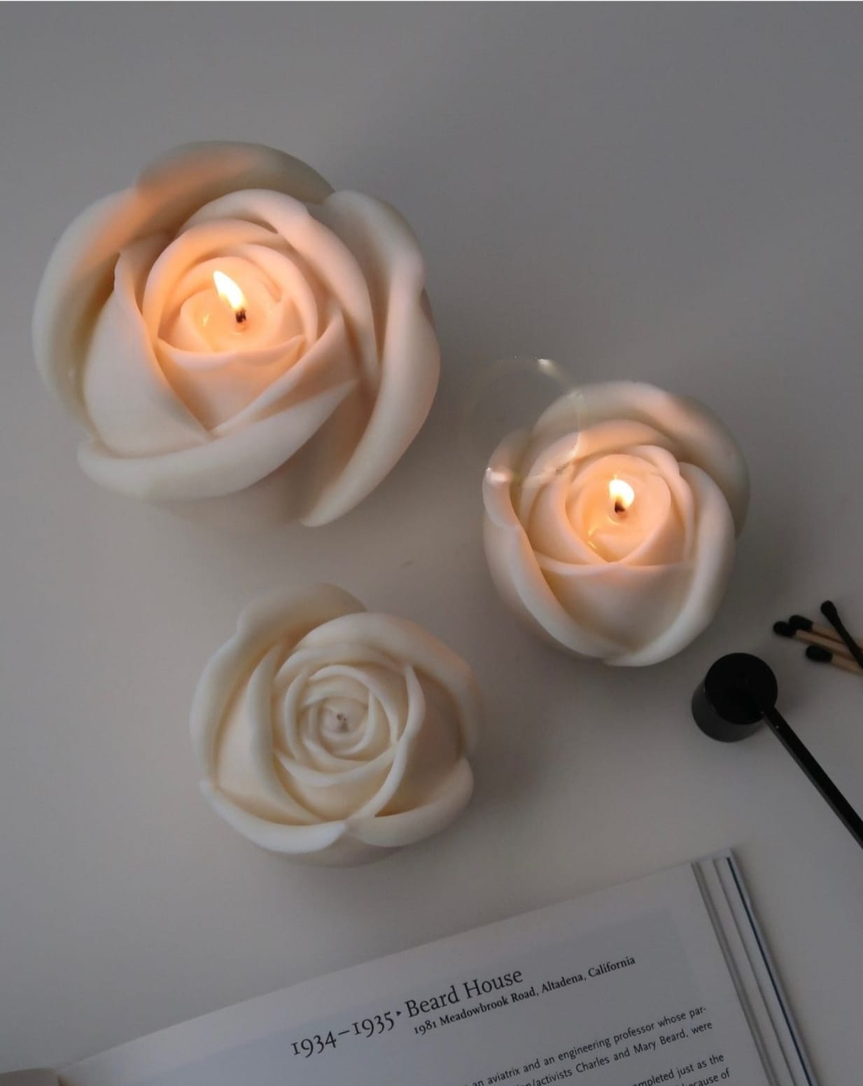Rose Candle: Luxurious Scented Bliss | Set of 2 | - Navam