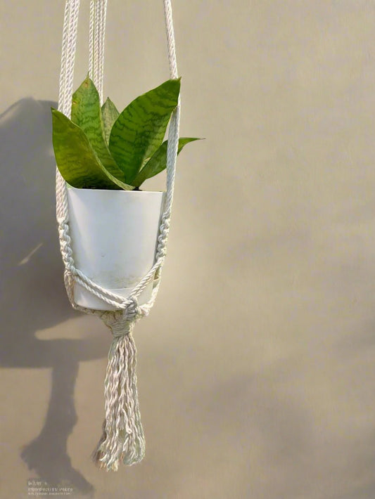 Macrame Plant Hanger | NAV-HD-003 - Navam