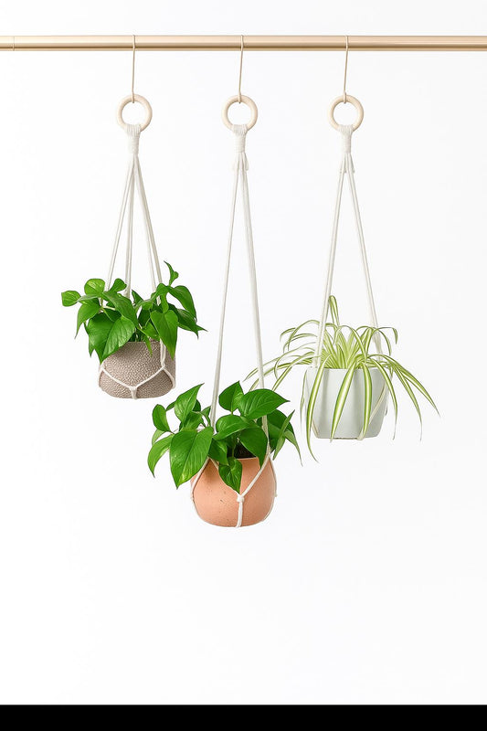 Set of 3 Macrame Plant Hangers – 35''/30''/25'' Handmade Cotton Rope Indoor Planter Holders