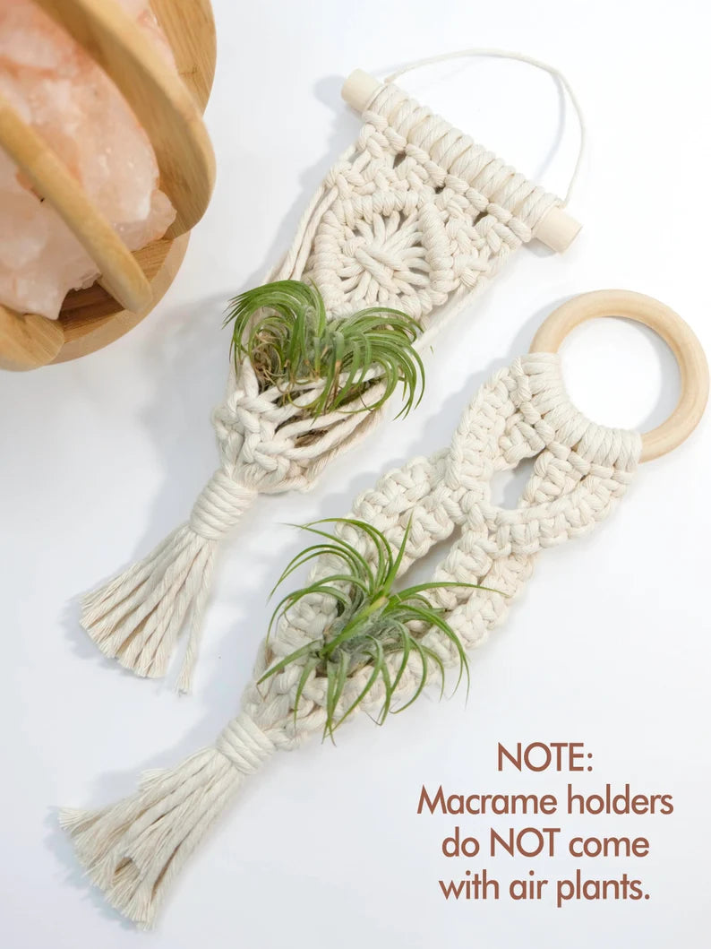 Mini Macrame Air Plant Hangers – Set of 2 Handmade Cotton Rope Holders for Indoor Display & Décor