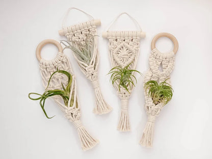 Mini Macrame Air Plant Hangers – Set of 2 Handmade Cotton Rope Holders for Indoor Display & Décor