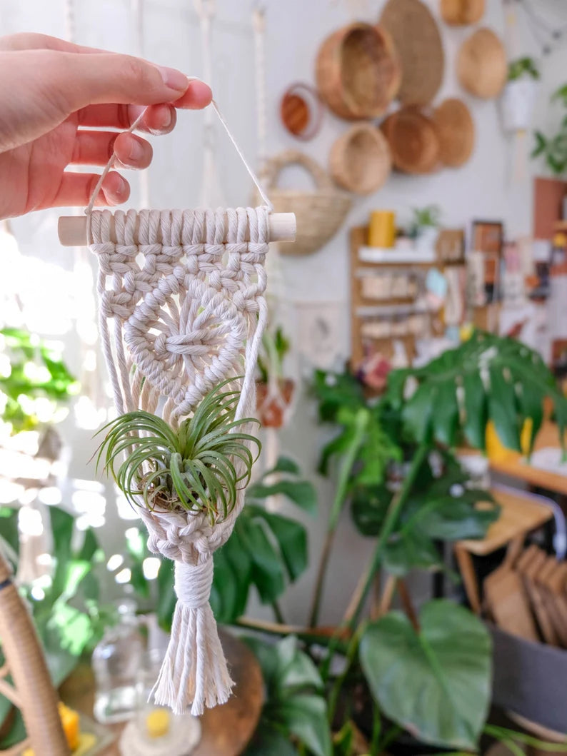 Mini Macrame Air Plant Hangers – Set of 2 Handmade Cotton Rope Holders for Indoor Display & Décor