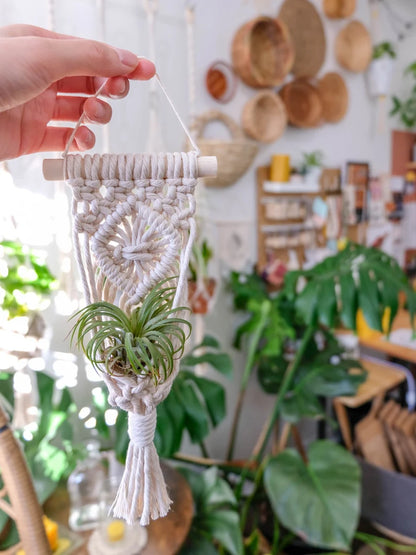 Mini Macrame Air Plant Hangers – Set of 2 Handmade Cotton Rope Holders for Indoor Display & Décor